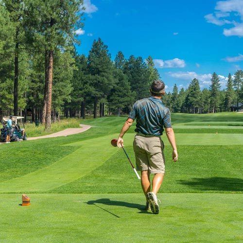 example of golf website image